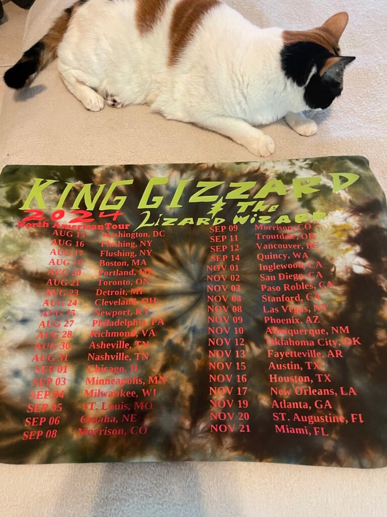 King Gizzard Gator 24 Tour Shirt Small - Image 2